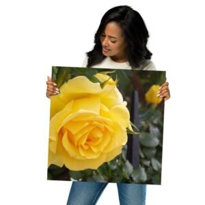 The Rose by Shields Era